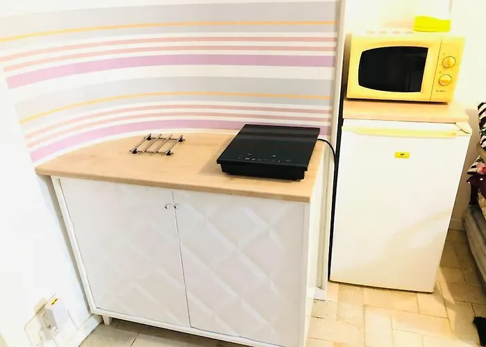 Proche Plages Juan Les Pins Petit Studio Dans Villa