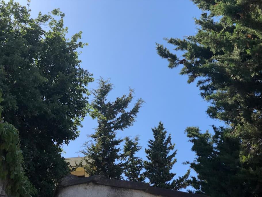Apartment Proche Plages Juan Les Pins Petit Dans Antibes