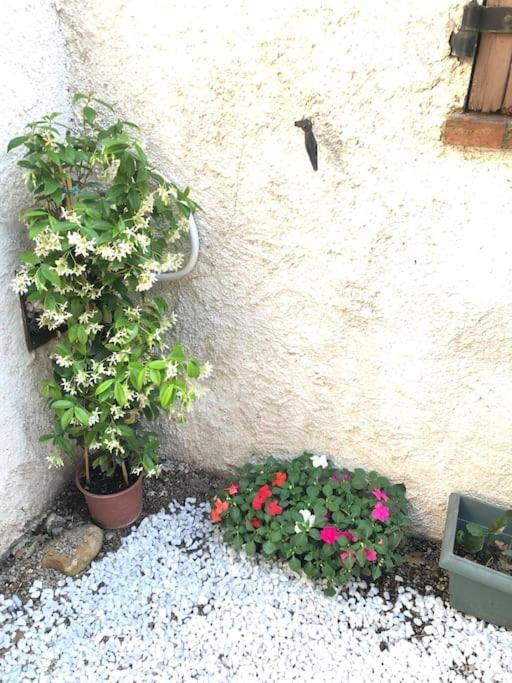Apartment Proche Plages Juan Les Pins Petit Dans *